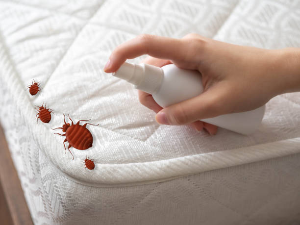 Best Pest Prevention Services  in Hummelstown, PA